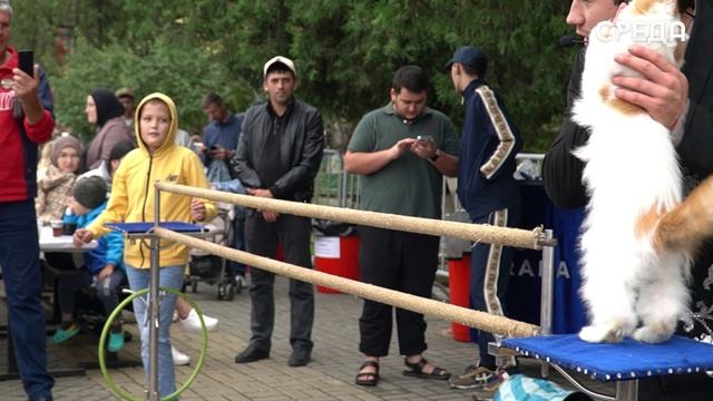 Каспийск масштабно отметил свое 76-летие