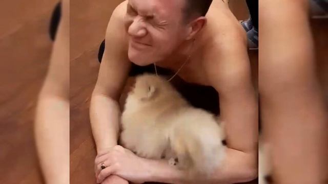 |?МИЛЫЕ ВИДЕО ПРО ШПИЦЕВ?|ЩЕНКИ ШПИЦА?|ПОМЕРАНСКИЙ ШПИЦ|