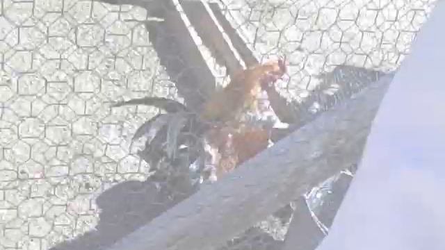 Ford Fiesta Im yours if youll have me!