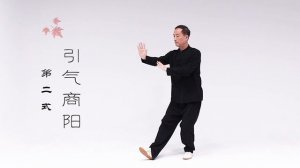 Практика столбового стояния Даоинь Канъян для оздоровления легких – Цигун по системе Даоинь Канъян