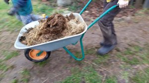 Убираем навоз. Защита деревьев зимой на песке от промерзания.