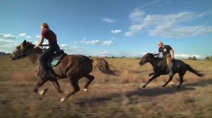 Галоп в поле
