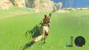ДАЛЬНИЙ ПОХОД К РИТО - 15 Часть Легенда о Зельде The Legend of Zelda: Breath of the wild