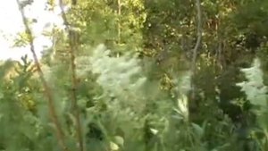 Лучшее исполнение этой песни. Душевно и красиво