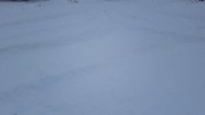 Сугробы снега нам не страшны Mercedes S430 4matic W220