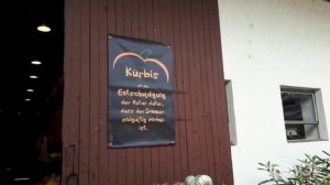 ???Где купить Kürbis(тыкву) на любой вкус от производителя в Германии.Тыквы к Halloween.???