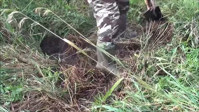 Поиск Клада с Металлодетектором в ручье