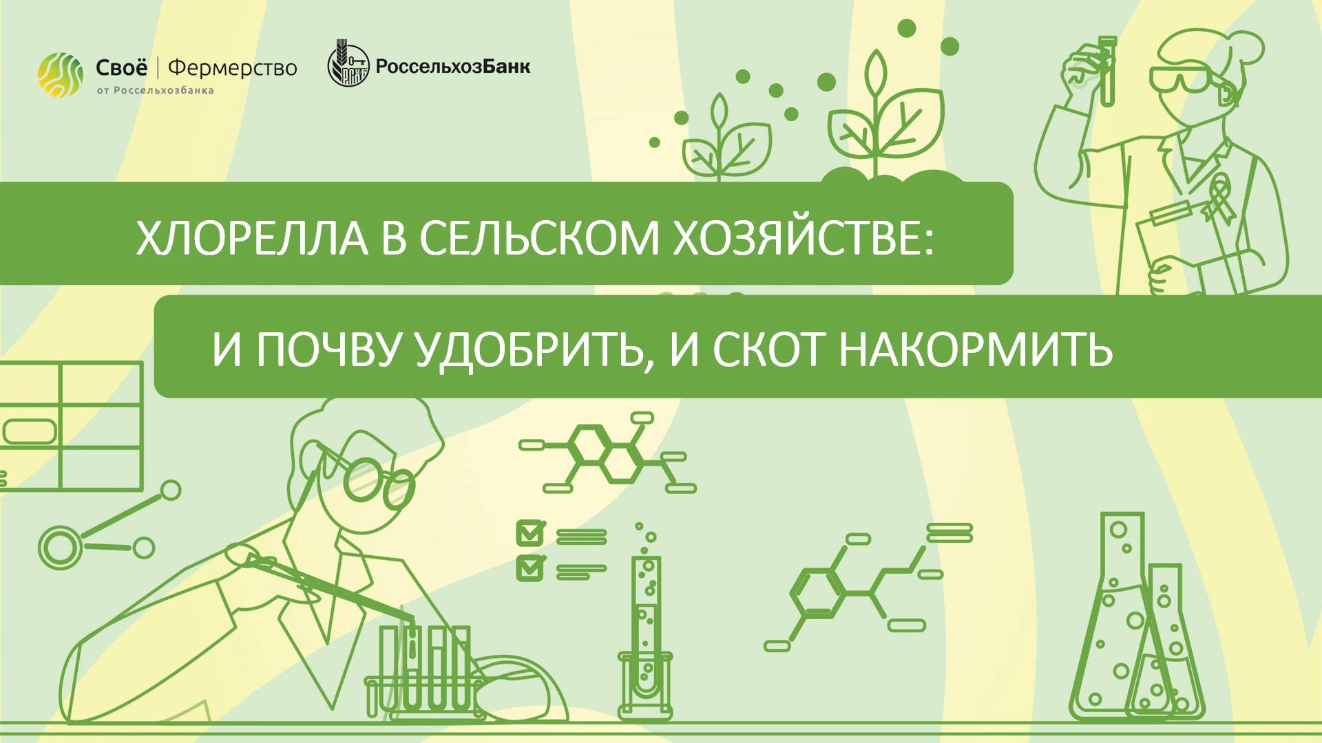 Хлорелла в сельском хозяйстве: и почву удобрить, и скот накормить