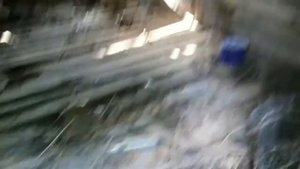 Гута деревня Смоленской области в  Хиславичском р-н.