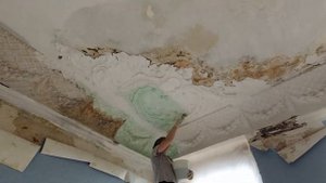 День 15. Очистка лепнины со смывкой старой краски Aligator BA-Uni. Продолжаем расчистку.