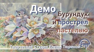 Демо. Бурундук и прострел пастелью