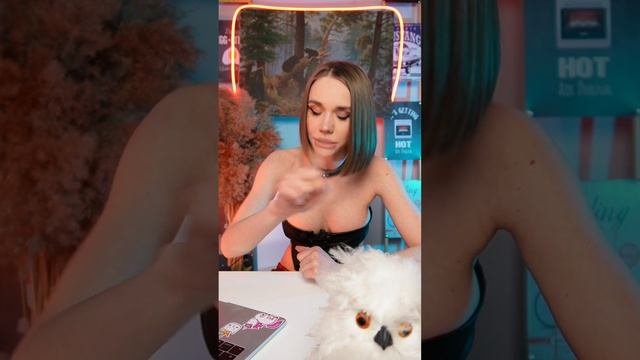 Подарок своими руками. Как не тратить деньги на девушек и быть альфа самцом смотреть онлайн