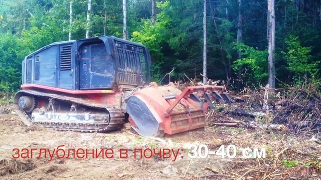 Мульчер Раптор 800  Raptor 800 AHWI Prinoth лесная техника смотреть онлайн