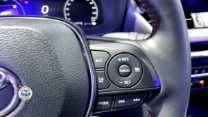 2023 Toyota WILDLANDER PHEV Walkaround—2022 Guangzhou Motor Show
