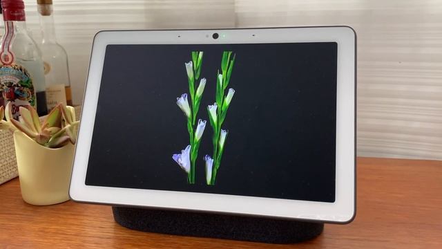 Google Nest Hub & Nest Hub Max: Which to choose? Comparison смотреть онлайн