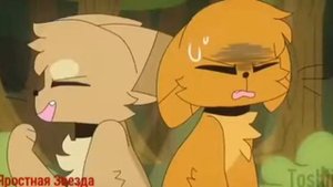 Коты Воители Песчаная Буря и Огнезвёзд