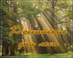 15 сентября - Российские дни леса.