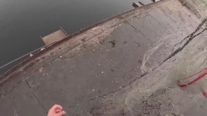 ВОТ ЭТО РЫБАЛКА!!! КАЖДЫЙ ЗАБРОС С РЫБОЙ!!! КАСТИНГОВАЯ СЕТЬ С МОСТА ТВОРИТ ЧУДЕСА))) РАЗНОРЫБЬЕ !!