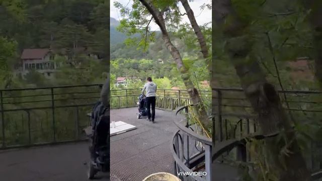 Зоопарк «Сказка» Ялта 2023 смотреть онлайн