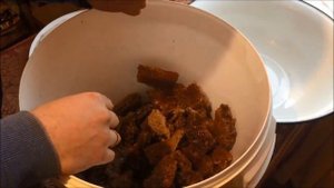 Инкубатор для разведения восковой моли. Как часто и сколько можно собирать ПЖДВМ в домашних условия