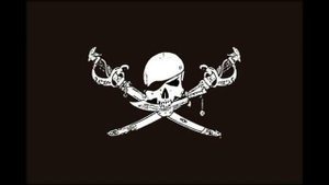 Хмельной Дракон - Пиратская боевая