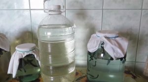 Уход за пиявками, хранение пиявок, как менять воду пиявкам, ЛАЙФХАКИ ОТ ЯТРИНЫ