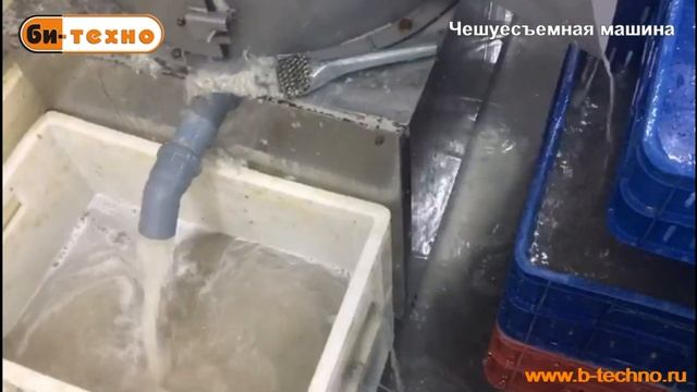 Чешуесъемная машина для съема чешуи рыбы смотреть онлайн