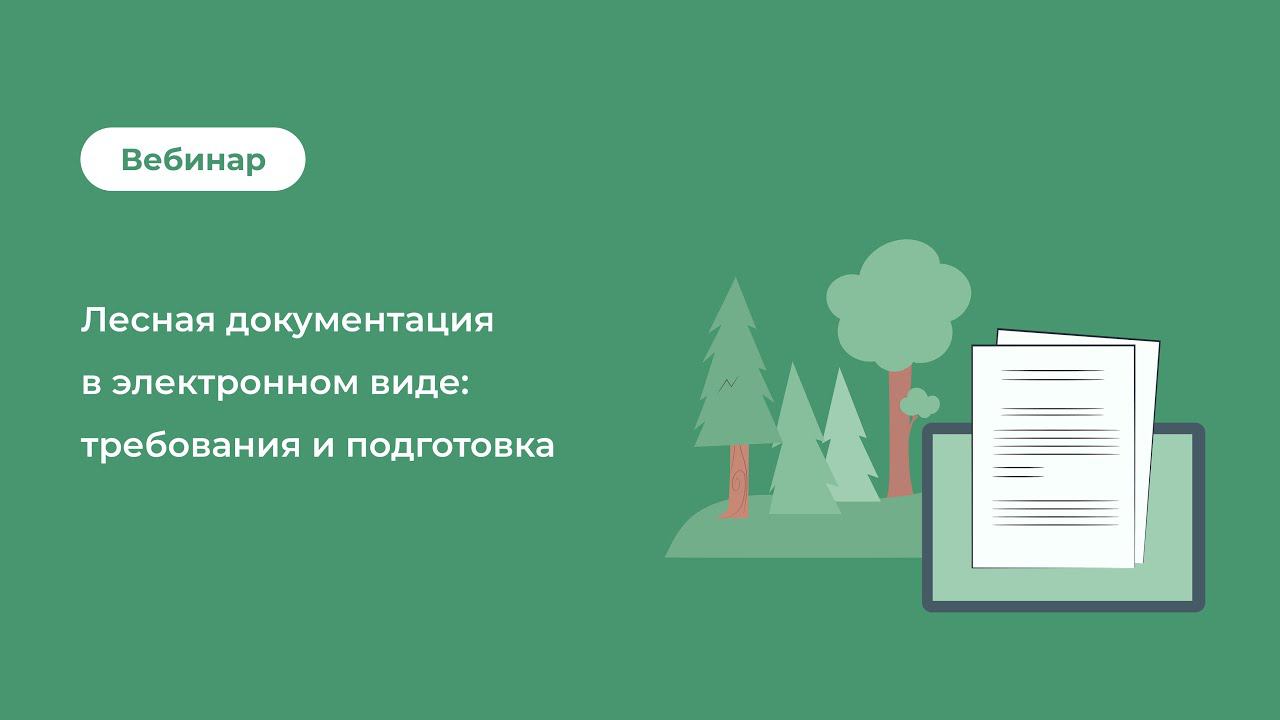 Лесная документация в электронном виде: требования и подготовка