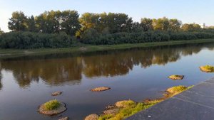 Река Тура