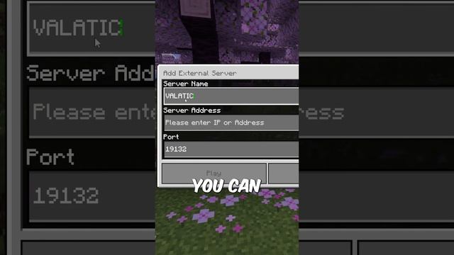 Join my New Public Minecraft SMP (Bedrock & Java) 1.20