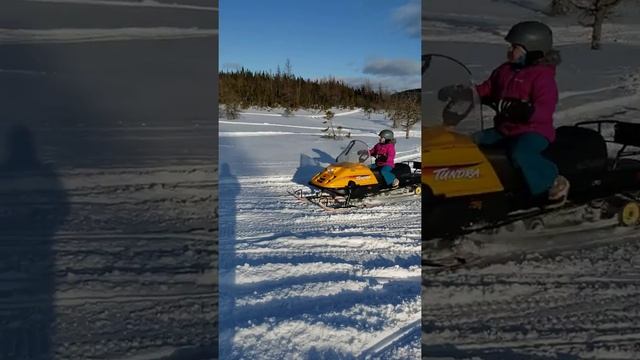 Charlotte on the ol Tundra II