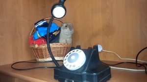 Самодельная настольная лампа из телефонного аппарата