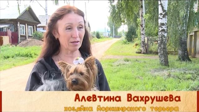 сами с усами часть 5 смотреть онлайн