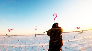 ОХОТА НА ЗАЙЦА 2024. ТАКОЙ ОХОТЫ У МЕНЯ ЕЩЕ НЕ БЫЛО! ТРИ С ЛЕЖКИ.