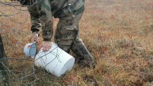 закрытие сезона сбора клюквы на севере# тестируем ковшик для сбора клюквы