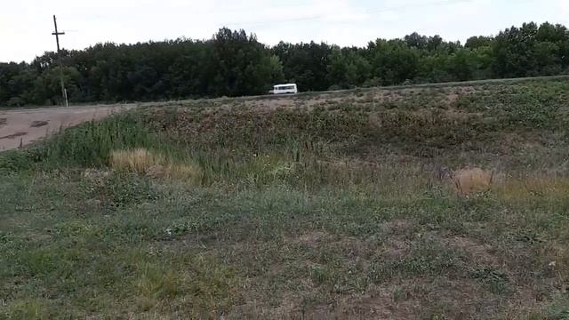 Как продавал арбуз июль 2019 смотреть онлайн