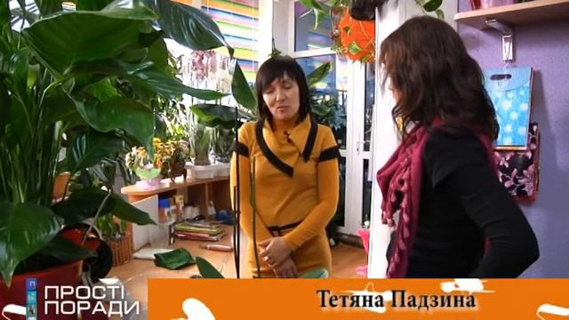 РАНКОВА КАВА Совет №25 орхидея.avi смотреть онлайн