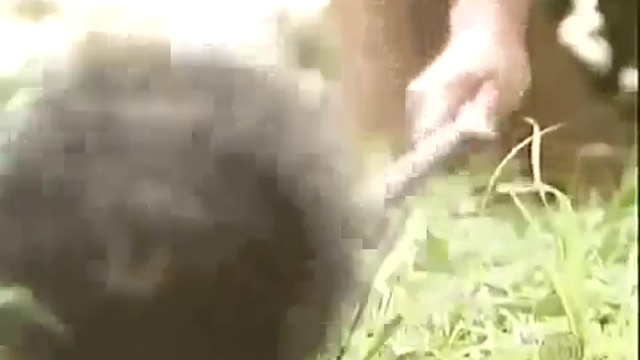Подборка убойных РОЗЫГРЫШей! Угар!