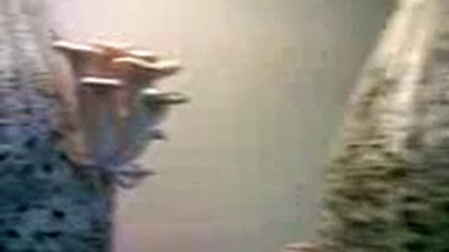 Выращивание грибов смотреть онлайн