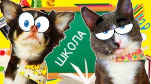 ЮМИ и АЛИСА ИДУТ в ШКОЛУ ПОКЕМОН и КОТОМОНСТР готовятся к ШКОЛЕ | Magic Pets