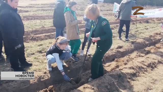 120 тысяч деревьев высадили в Волгоградской области в рамках акции «Сад Памяти»