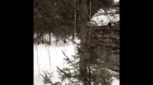 Рыбалка в Заболотье Тобольского района Тюменской обл.