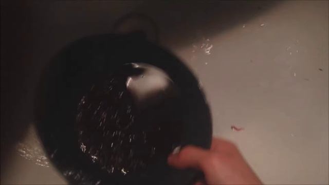 Приготовления мотыля для кормления аквариумных рыб смотреть онлайн