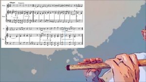 И.Станкевич « Этюд 12» на флейте Бансури