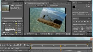 Управление редактором диаграмм в Adobe After Effects CS4