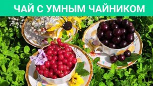 Марокканский тонизирующий чай из российских трав