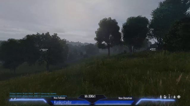 DayZ PvE BlackWood Lite #6