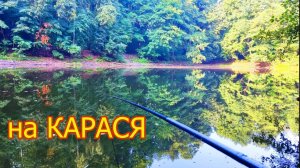 на Лесном Озере, Рыбалка на карася, Снасть с двумя крючками. Ловля карася на болтушку из манки