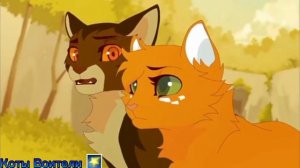 Коты Воители Ежевика и Белка Клип — abcdefu Заказ