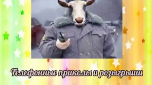 смешные поздравления женщине